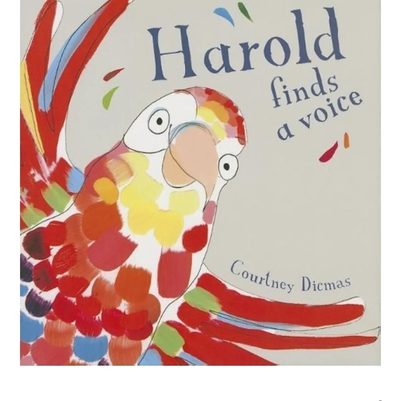 Colorful Parrot Children's Book - Picture 1 of 3